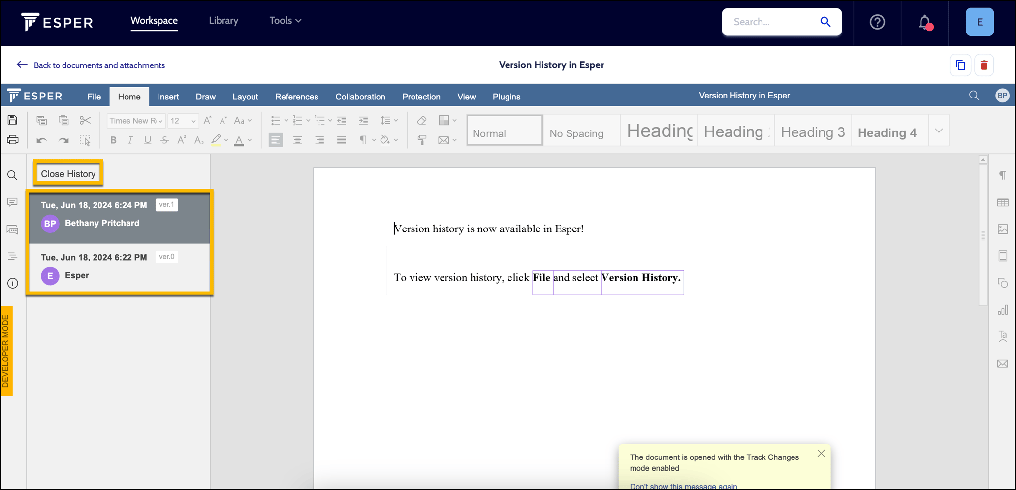 Document Version History